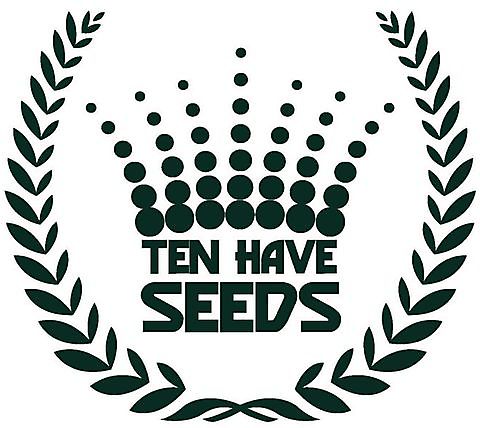 Ten Have Seeds Zwartsluis